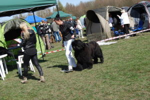 12.04 CAC Zabrze,klasa pośrednia D 1/1 CAC